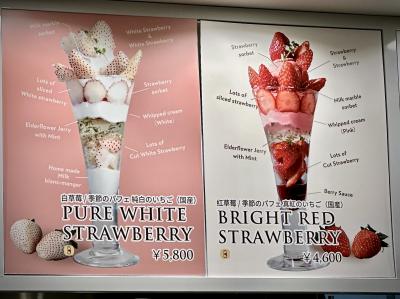 30年間の海外駐在員生活を終え、人生の最後にタイ国に移住してみる事にしたの...記（あゝ、成田空港で「パフェ」が食べたくてぇ／タイ←日本）