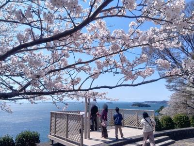 三河湾、西浦半島へ花見ウォーキング