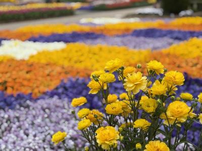 4トラ女子、6名で!大人の修学旅行In群馬、栃木!後編~♪