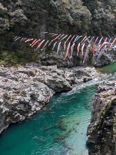 【旅行記】2025年4月高知県の旅・1日目~大歩危小歩危に祖谷を満喫~