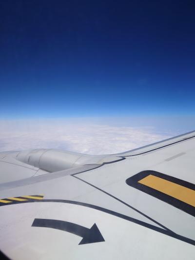 沖縄に行ってみた 1 初の岩国錦帯橋空港