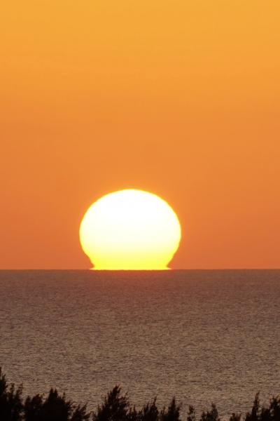 沖縄に行ってみた 2 名護市役所&道の駅&夕日