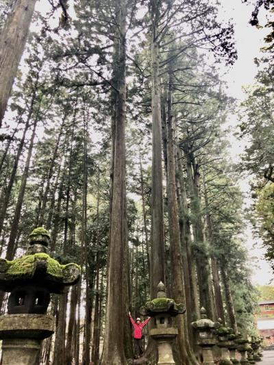 山中湖　忍野八海