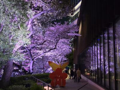散りゆく四ッ谷の桜と、紀尾井町の寿司の名店を楽しむ