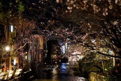 インバウンド外国人激増の京都の花見に突撃・静かに桜を見れるのか 1 (Sakura overwhelmed in Kyoto 1)