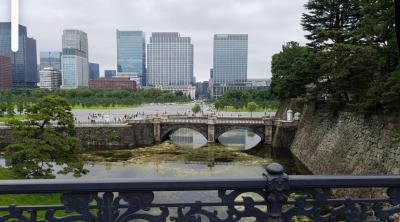 皇居一般参観と皇居東御苑