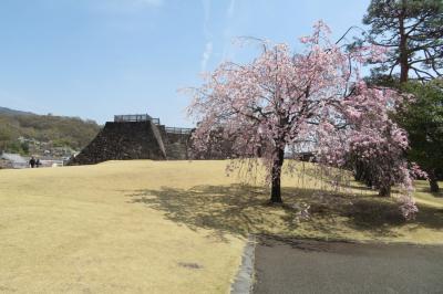 甲府(舞鶴)城&松本城