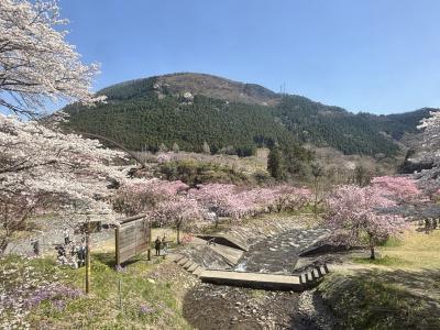 4トラ友さんに案内して頂く女子旅　　vol.1　花盛り・温泉・歴史の群馬編