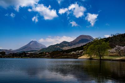 志高湖の桜　2025