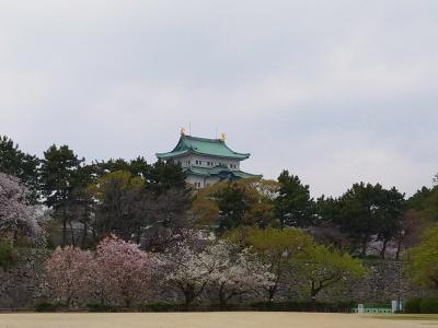 春旅は桜を求めて滋賀・三重・愛知へ（６）名古屋観光して帰ります