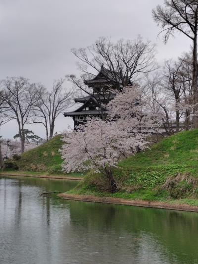 第100回高田城址公園観桜会