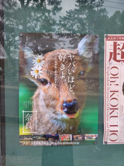 いざいざ奈良 2025