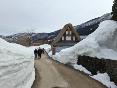 初春の五箇山には未だ雪がタップリ!帰りに高岡の瑞龍寺(前田家二代利長の菩提寺)を参拝。