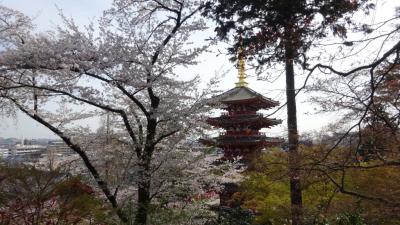 桜紀行、日野・高幡不動