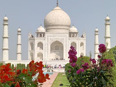 タージマハルを見たくて♪ マハラジャの国・インドへ！ 4日目「白亜の霊廟」のタージマハル、赤褐色のアグラ城編