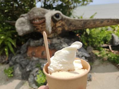 2025年4月　八重山諸島　１人旅　［3/3］西表島　由布島