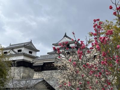 SFC修行で大波乱　松山への旅　②　現存12天守の松山城！