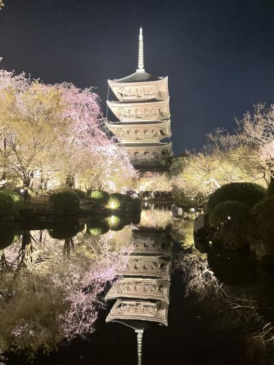 2025.4.7 月曜日 東寺のライトUP PART②