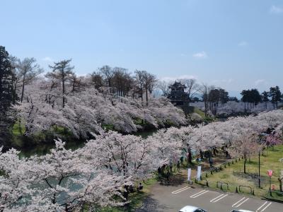 第100回高田城址公園観桜会　2