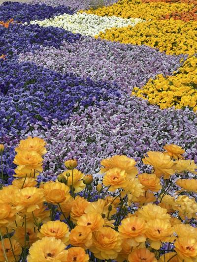 4トラ女子会 in とちぎ 足利