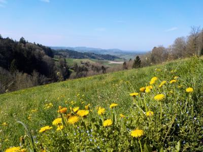 スイスあちこちハイキング36．エメンタールの農村地帯を歩く