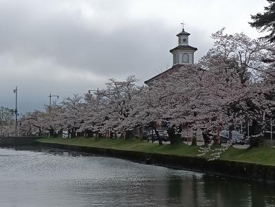 観光列車「海里」に乗って鶴岡市の桜を愛でに行きました(*^-^*)