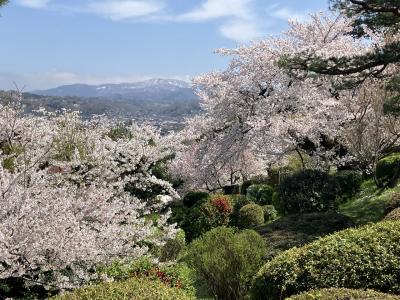 週末金沢旅:1日目~桜の兼六園