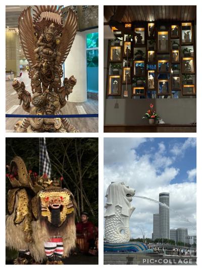 バリ島、シンガポール旅行　まとめ