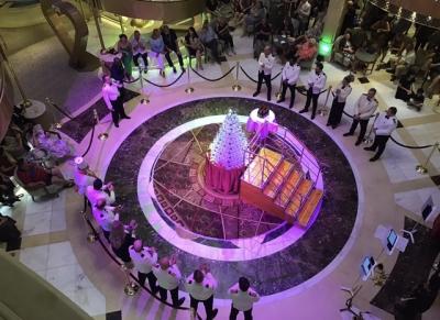 シドニー発着南太平洋クルーズ(5)