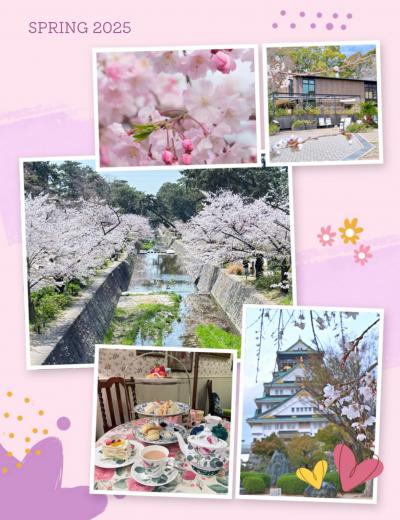 今春 楽しんだお花見スポット 2025 .:*☆*:. 千里中央公園・大阪城・夙川 .:*☆*:.