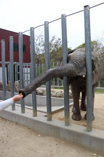 徳島旅行 2日目 東かがわ市編