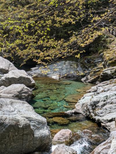 【旅行記】2025年4月高知県旅・2日目&3日目~仁淀ブルーに高知名物を満喫♪~