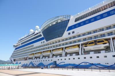 清水港 豪華客船 【AIDA] 散歩で出会った