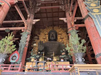 はじめての奈良、2泊での寺社巡り(2) -奈良駅周辺の東大寺、興福寺、春日大社めぐり-