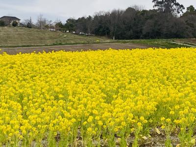 愛知池と愛知牧場を巡る、自然満喫コースに参加