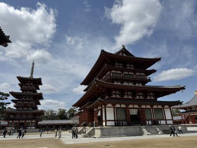 はじめての奈良、2泊での寺社巡り(3) -平城宮跡、唐招提寺、薬師寺の古刹めぐり-