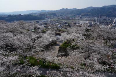 美作をゆく【1】~津山城址の桜と城東の街並み~
