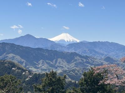 富士山と桜が見れた小仏から高尾山へのハイキング