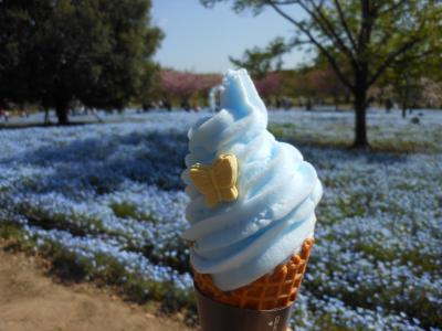 舎人公園のネモフィラと三郷のイケア