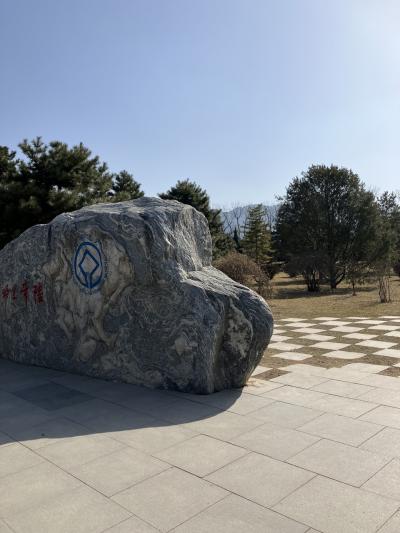 D-3pm 秦始皇帝陵、鴻門宴遺跡、華清池、宮廷料理を食べて大唐不夜城ライトアップ