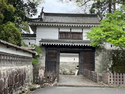 春の南九州５泊６日 ５日目 ～飫肥城下町・鵜戸神宮・青島神社～