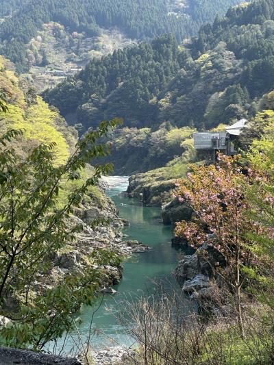 徳島県大歩危へ行ってきました。