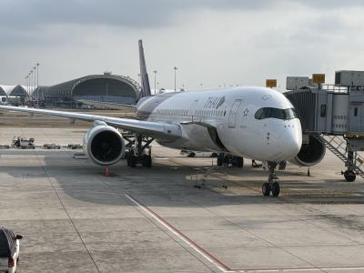 2025.4タイ航空ビジネスクラスで行くバリ島現地集合解散?レギャン、ウブド、タンジュンベノアその1ドタバタの初日!