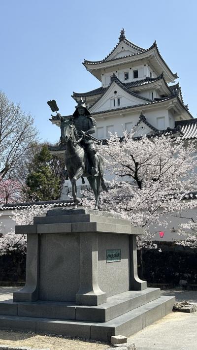 満開の桜の中の大垣城見学