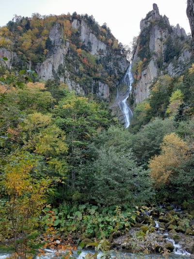 今年こそはの旭岳、黒岳旅行3日間