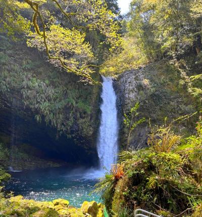 ★2025/04 下田（2泊目）