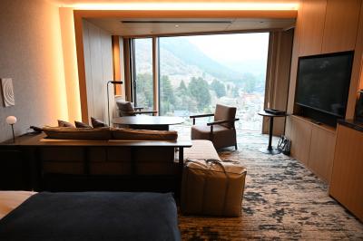 VIALA箱根湖悠　ユニバーサルルーム（デラックス洋室）前編　山のホテルのランチ　２０２５年４月