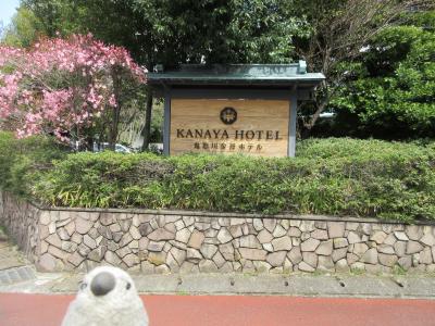 鬼怒川で桜と温泉を堪能withゴエモン　後編