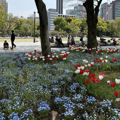 2025年4月、仕事の合間の街歩き。丸の内仲通り "TRADMAN'S BONSAI" と "日比谷公園のモネフィラ ＆ チューリップ" ！