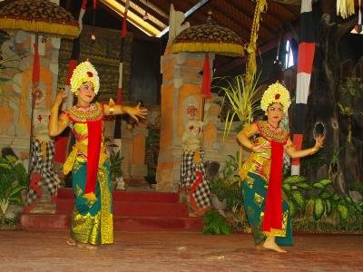 バリ島へ2日目、依頼していた島内遊覧で観光地巡り